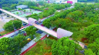 綠色是理念，更是行動