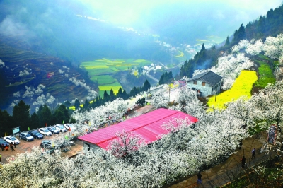 綠色是理念，更是行動