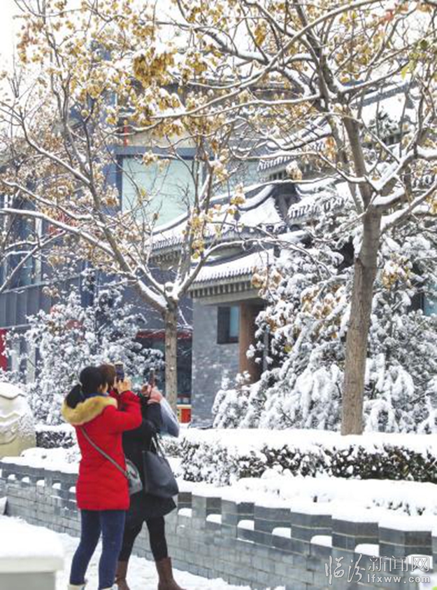 亮麗雪景美平陽(yáng)