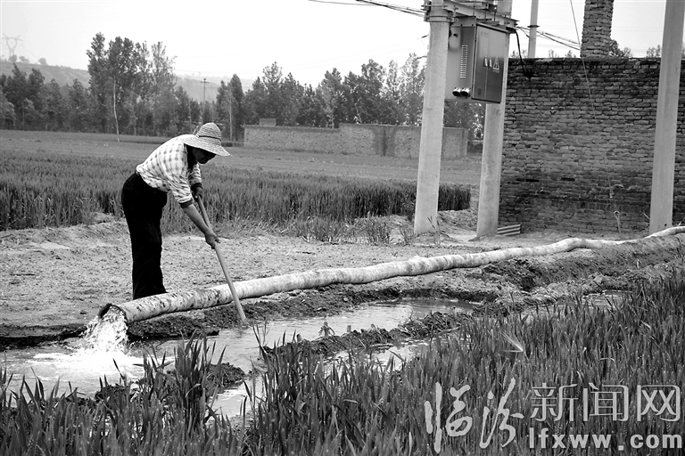 機(jī)井灌溉實(shí)惠了霍州楊棗村民
