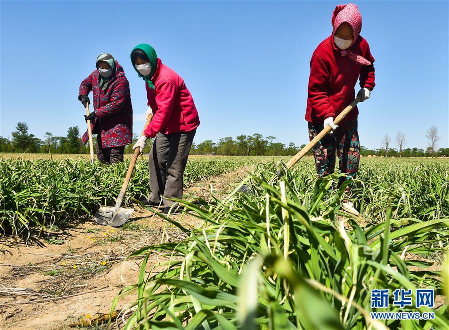 （新華全媒頭條·圖文互動）（17）從人民中汲取磅礴力量——習近平總書記同出席2020年全國兩會人大代表、政協(xié)委員共商國是紀實