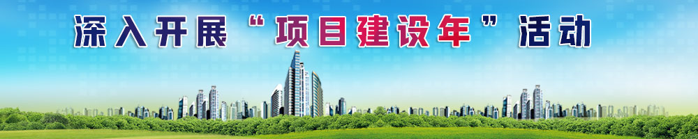深入開(kāi)展“項(xiàng)目建設(shè)年”活動(dòng)