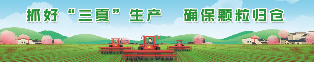 抓好“三夏”生產(chǎn) 確保顆粒歸倉(cāng)