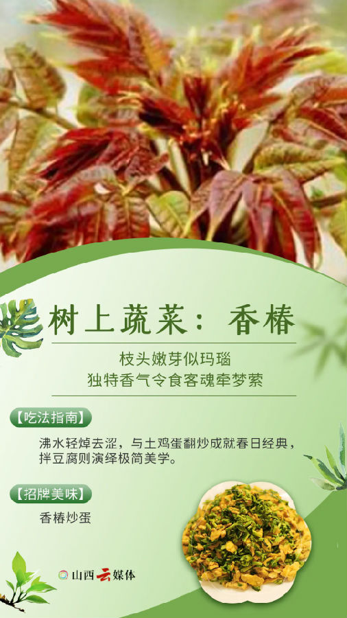640.webp (1).png