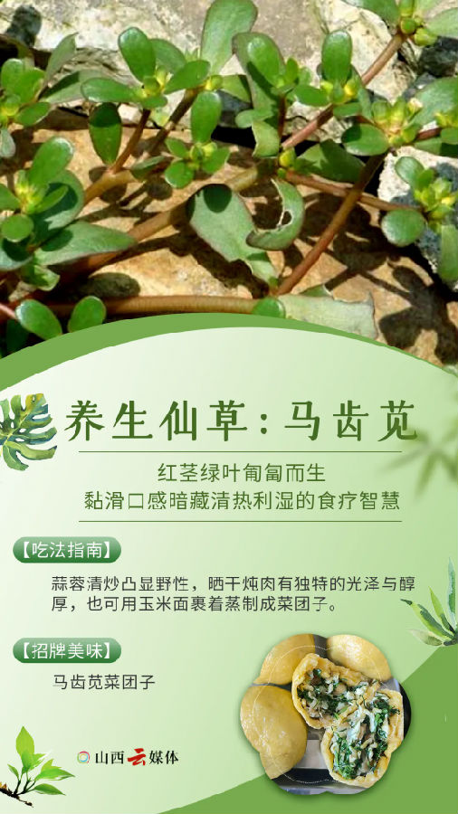 640.webp (2).png