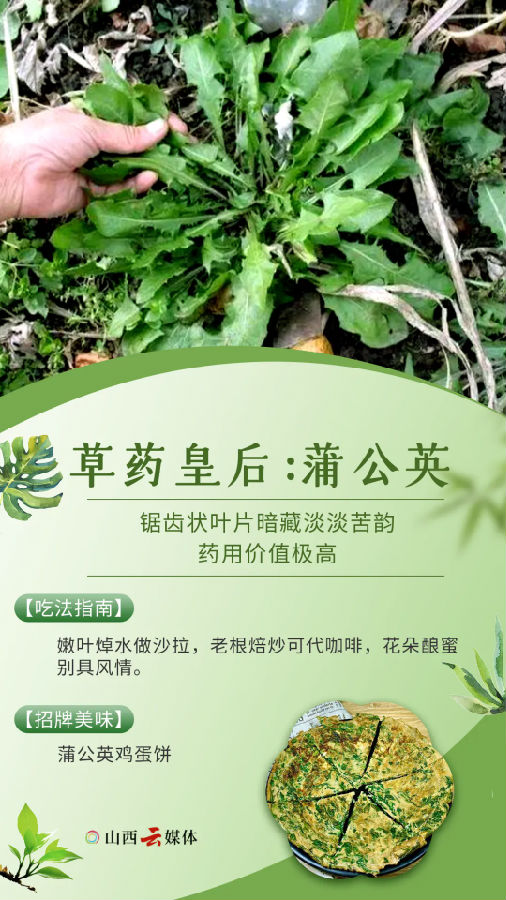 640.webp (3).png