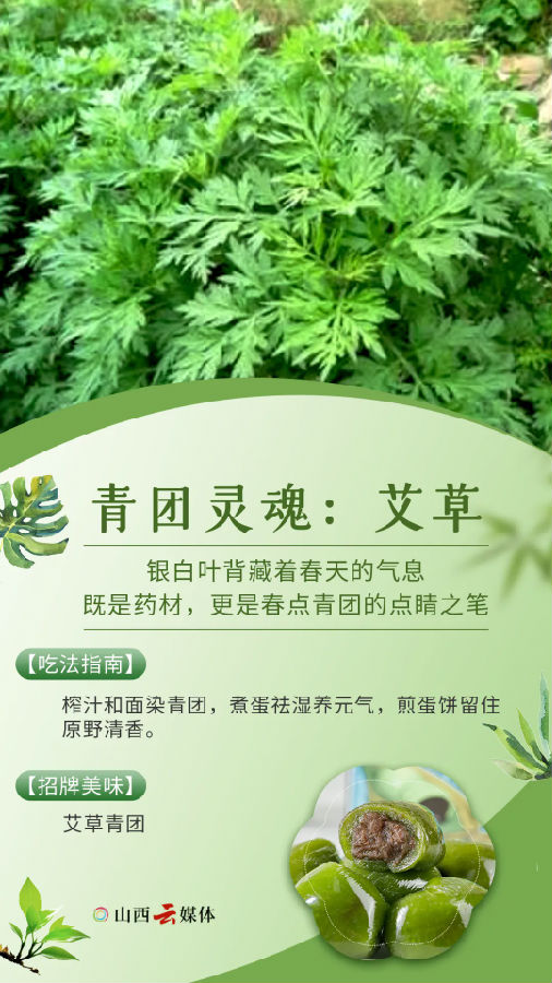 640.webp (4).png
