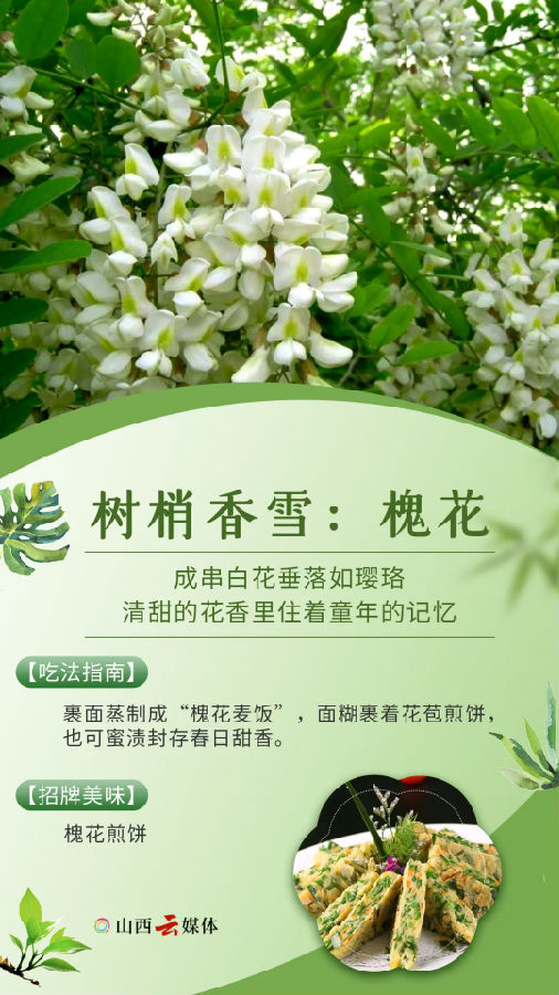 640.webp (5).png