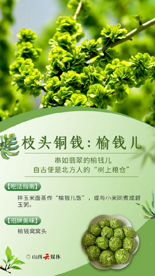 640.webp (6).png