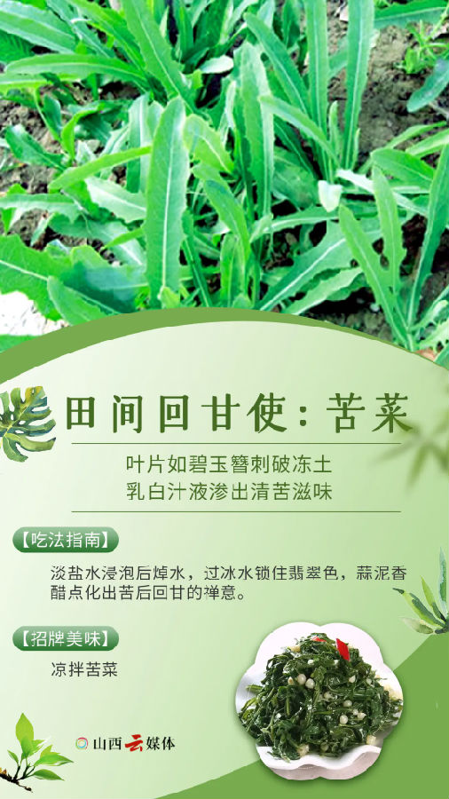 640.webp (7).png