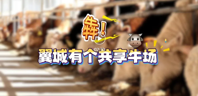 “拎”牛入駐，翼城有個(gè)共享牛場(chǎng)！