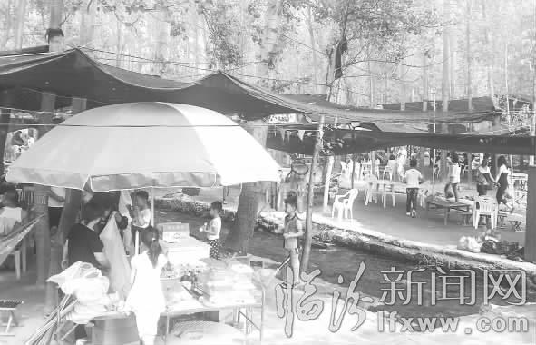 臨汾龍祠濕地成避暑地