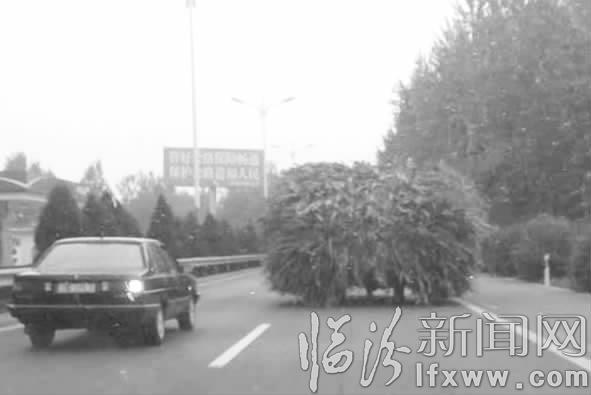 洪洞農(nóng)用三輪車:超載上路有隱患