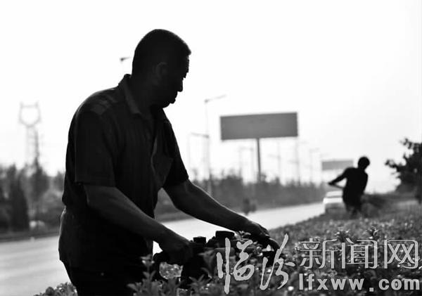 臨汾園林工人正在修剪道路綠化帶