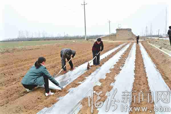 翼城縣廣大農(nóng)民深入田間一派春忙