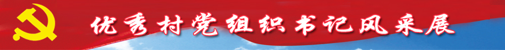 優(yōu)秀村黨組織書(shū)記風(fēng)采展