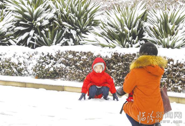 亮麗雪景美平陽(yáng)