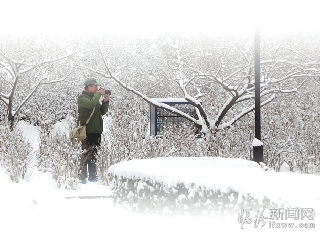 亮麗雪景美平陽(yáng)